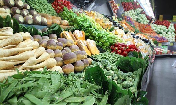 Fresh Vegetables