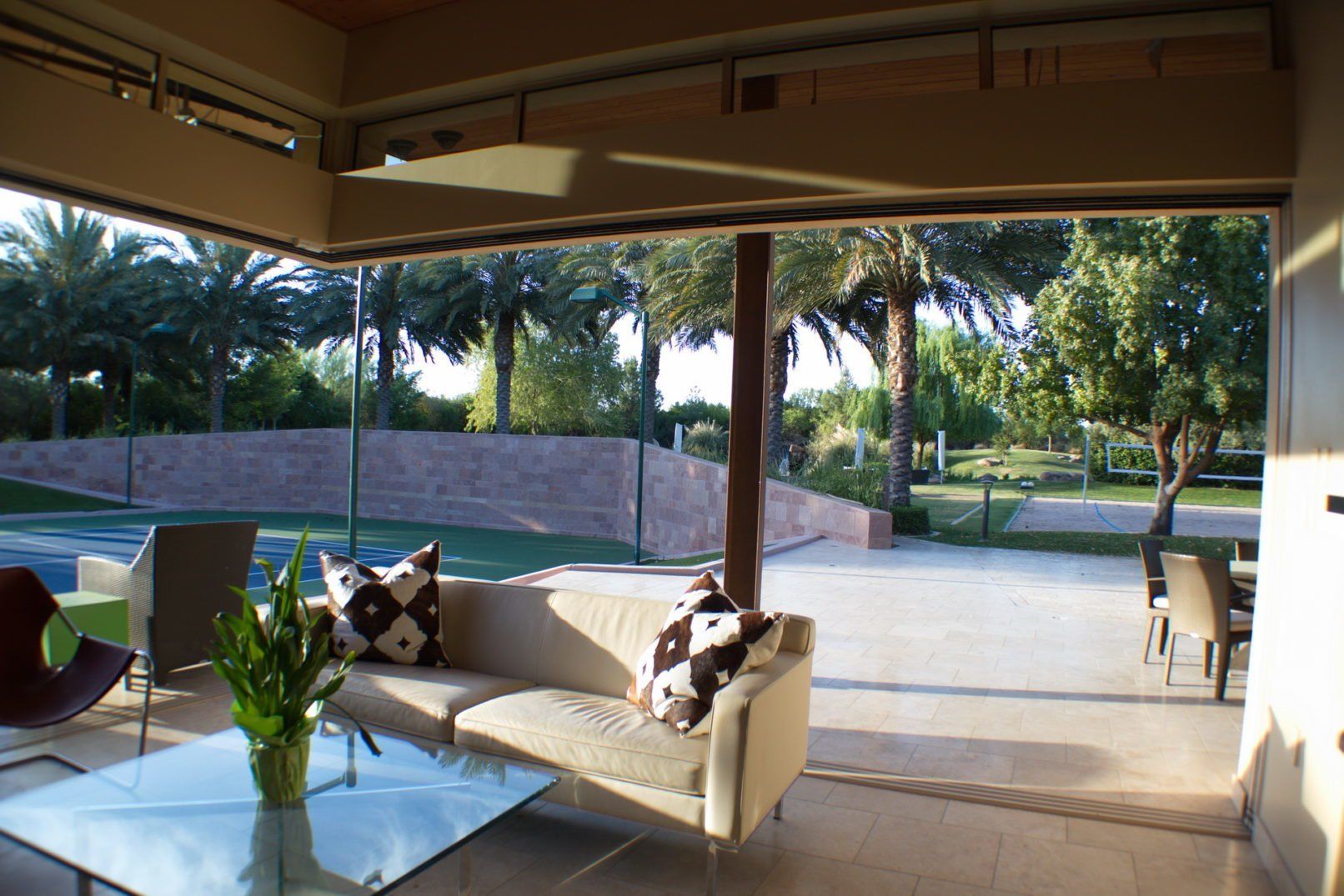 Desert Oasis