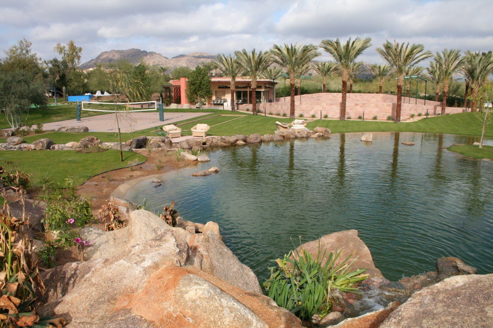Desert Oasis