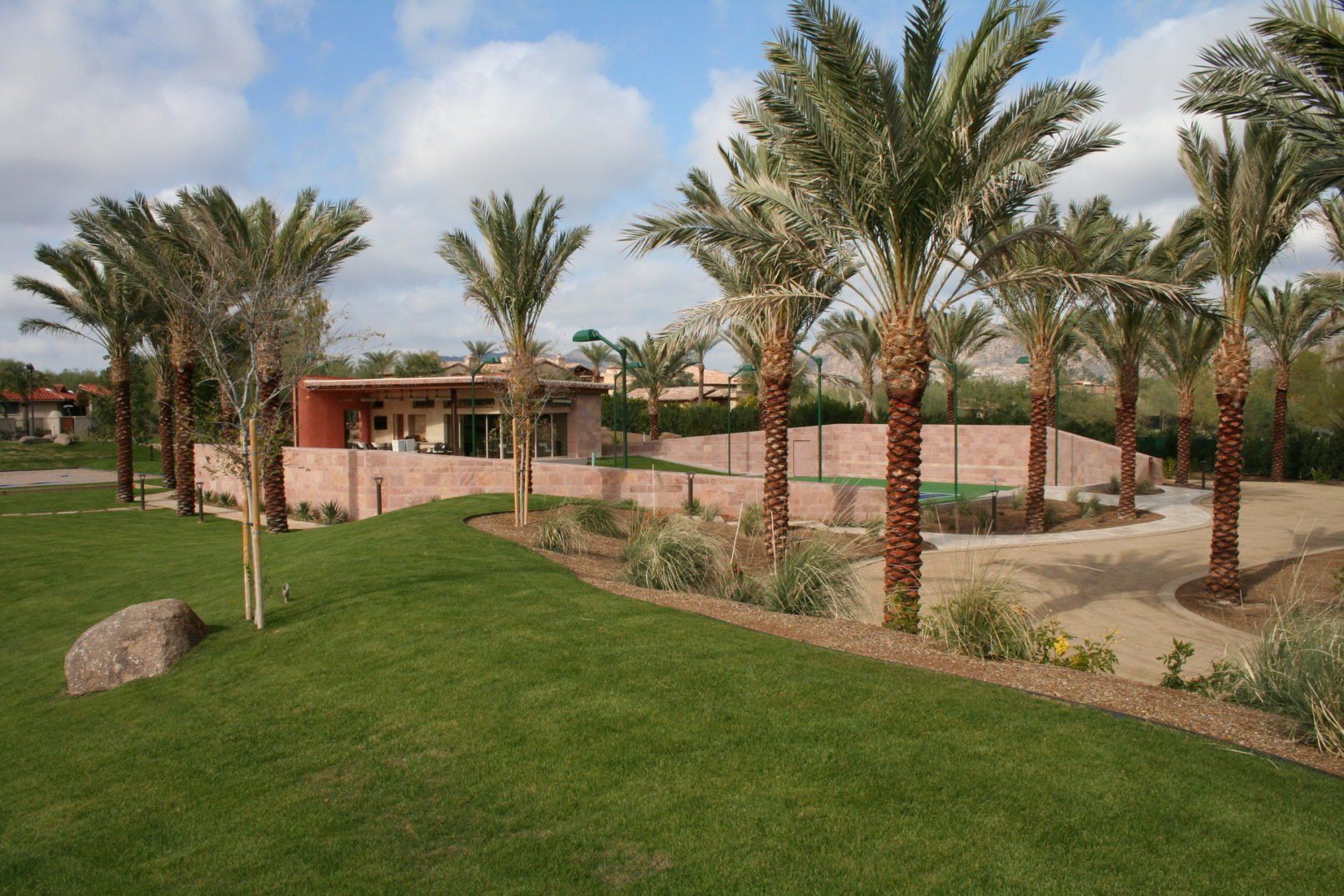 Desert Oasis