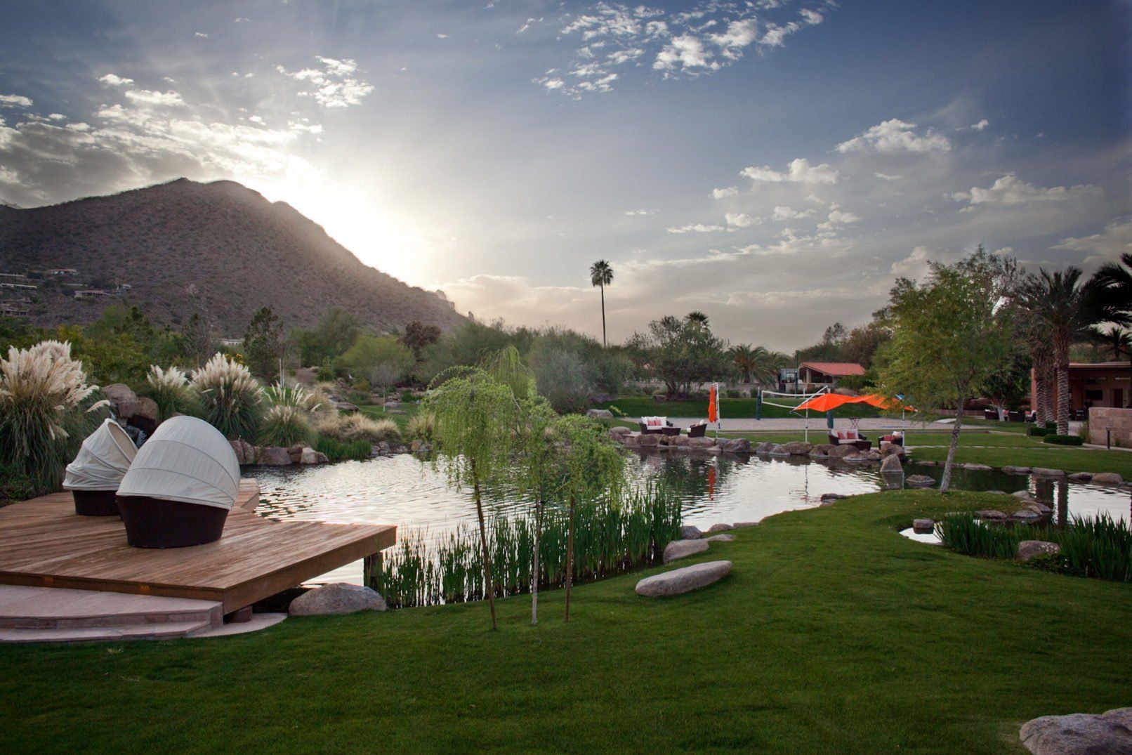 Desert Oasis