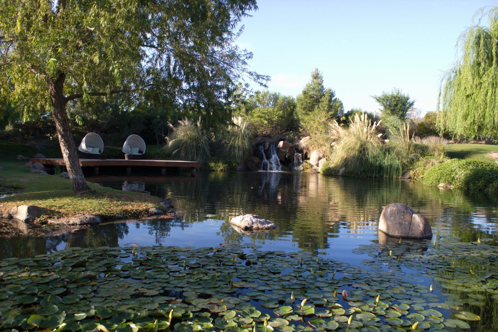 Desert Oasis