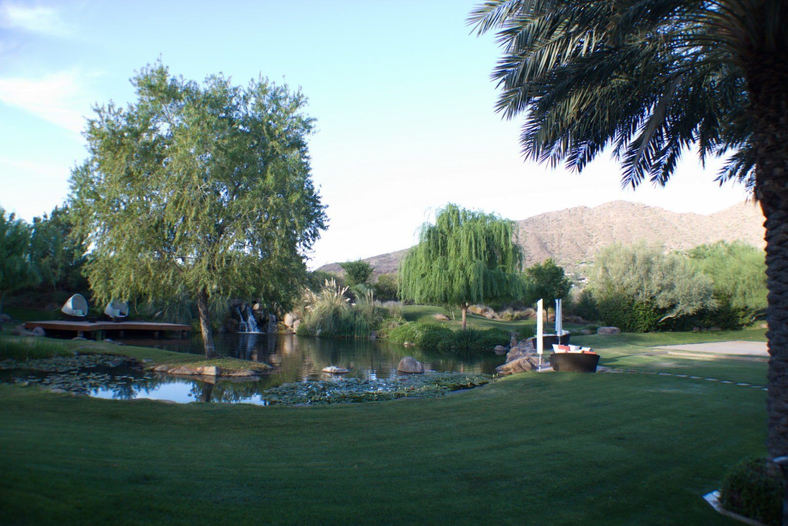 Desert Oasis