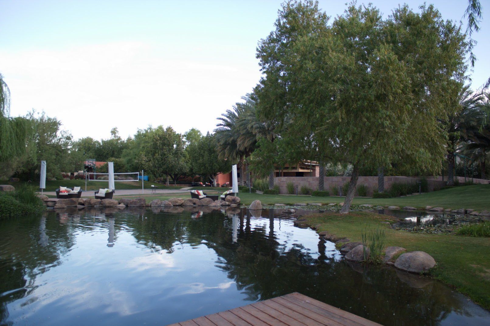 Desert Oasis