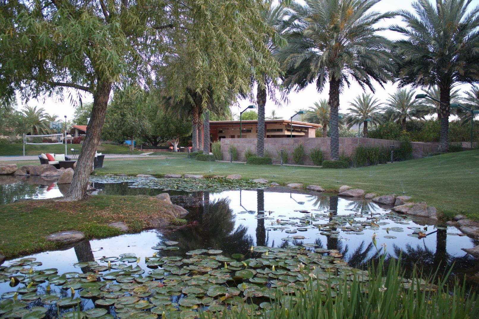 Desert Oasis