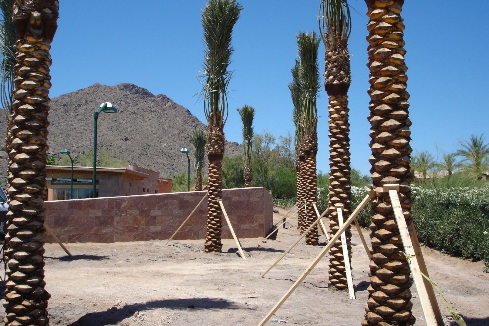 Desert Oasis Build