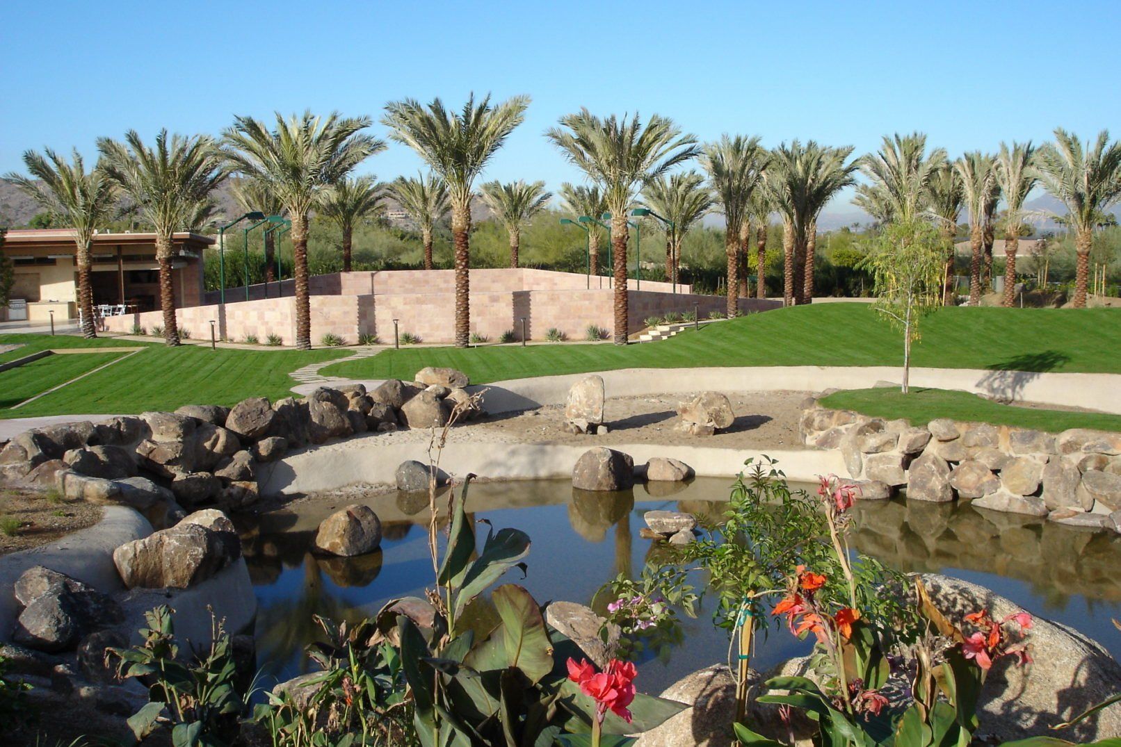Desert Oasis Build