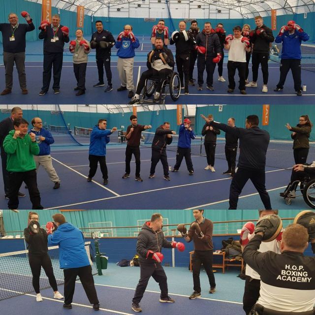 boxing certificates