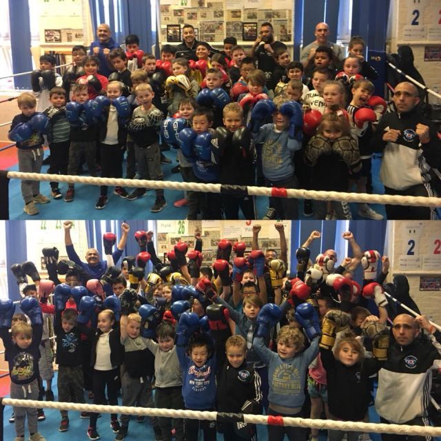 boxing certificates