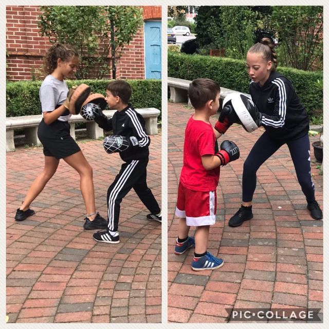 boxing certificates