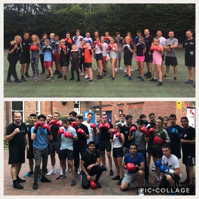 boxing certificates
