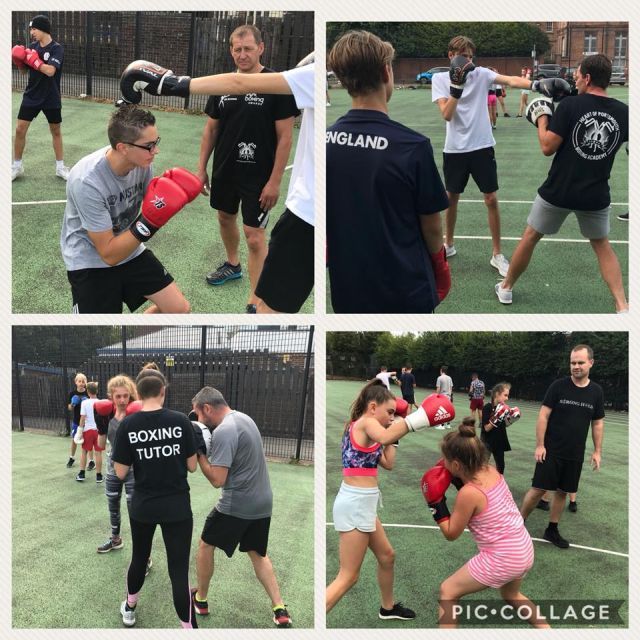 boxing certificates
