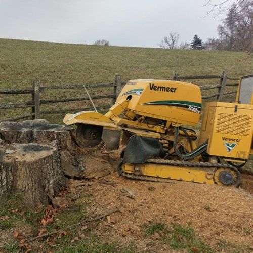 Shrub Removal — Stump On The Ground in Sperryville ,VA Shrub Removal — Stump On The Ground in Sperryville ,VA