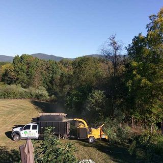 Tree Pruning — Clearing The Land in Sperryville ,VA Tree Pruning — Clearing The Land in Sperryville ,VA