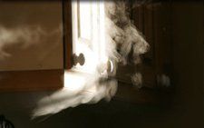 Emergency Cleaning – London – All Care Cleaning – Fire Cleans