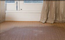 Flood Cleaning Emergency Cleaning - London - All Care Cleaning - Flood Cleans