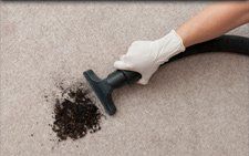 Carpet Cleaning Homepage – London – All Care Cleaning – Carpet Cleaning