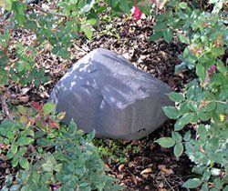 Boulder-Like Rodent Feeding Stations for Landscaping — Exterminator Company in Elk Grove Village, IL Boulder-Like Rodent Feeding Stations for Landscaping — Exterminator Company in Elk Grove Village, IL
