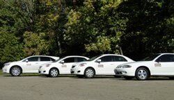 Residential Pest Control — Exterminator Company in Elk Grove Village, IL Residential Pest Control — Exterminator Company in Elk Grove Village, IL