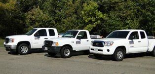 Commercial Pest Control — Exterminator Company in Elk Grove Village, IL