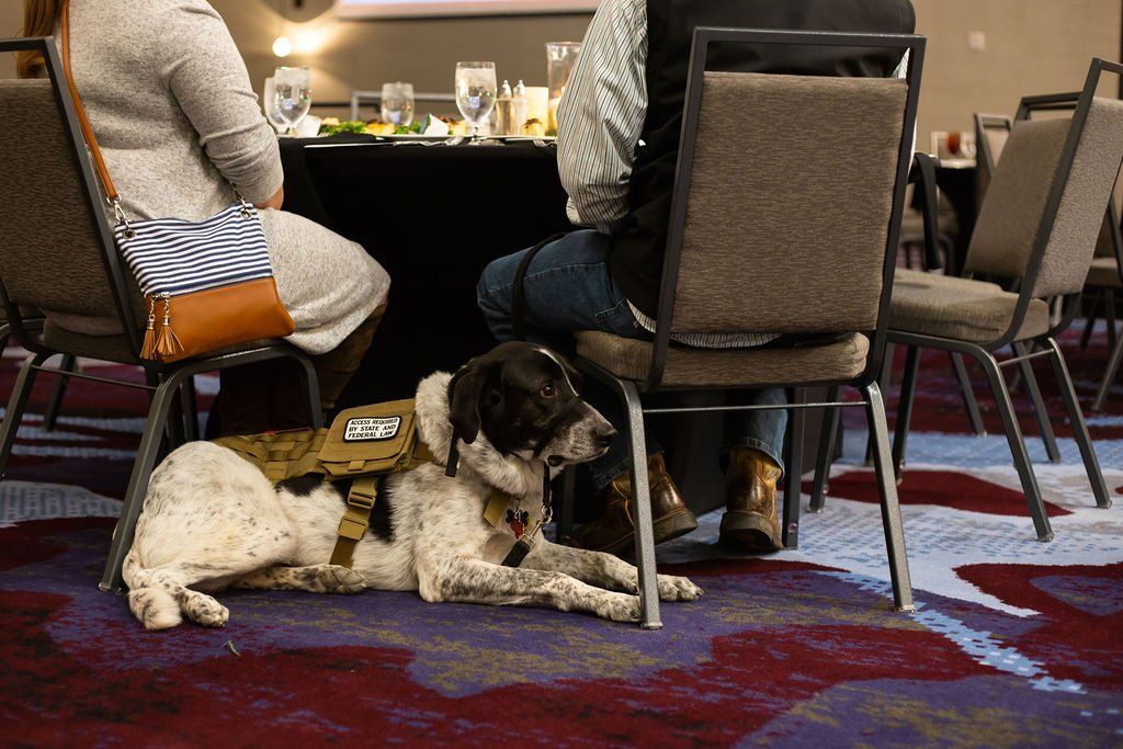 A service dog wearing a tactical vest lies on a patterned carpet under a table between two people sitting in chairs.