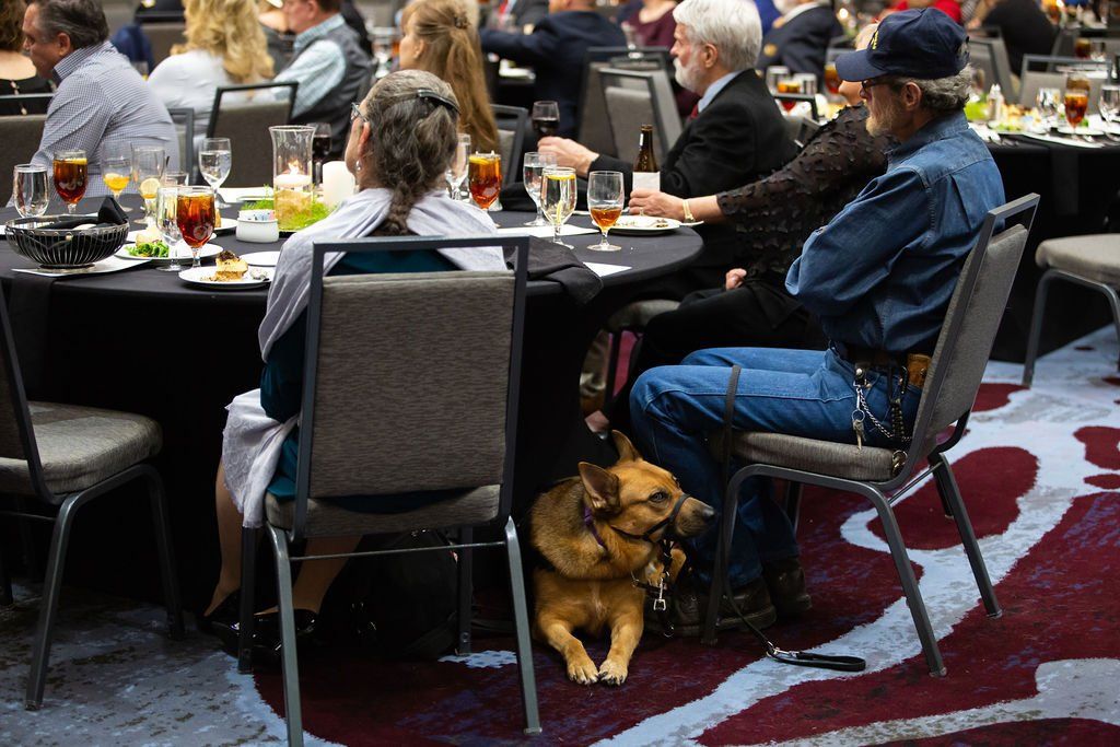 A medium-sized dog rests under a table in a banquet hall, sitting near the feet of people dining at round tables.