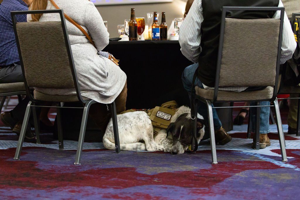 A spotted service dog wearing a tan vest lies on the floor between two people sitting at a table in a dimly lit room.