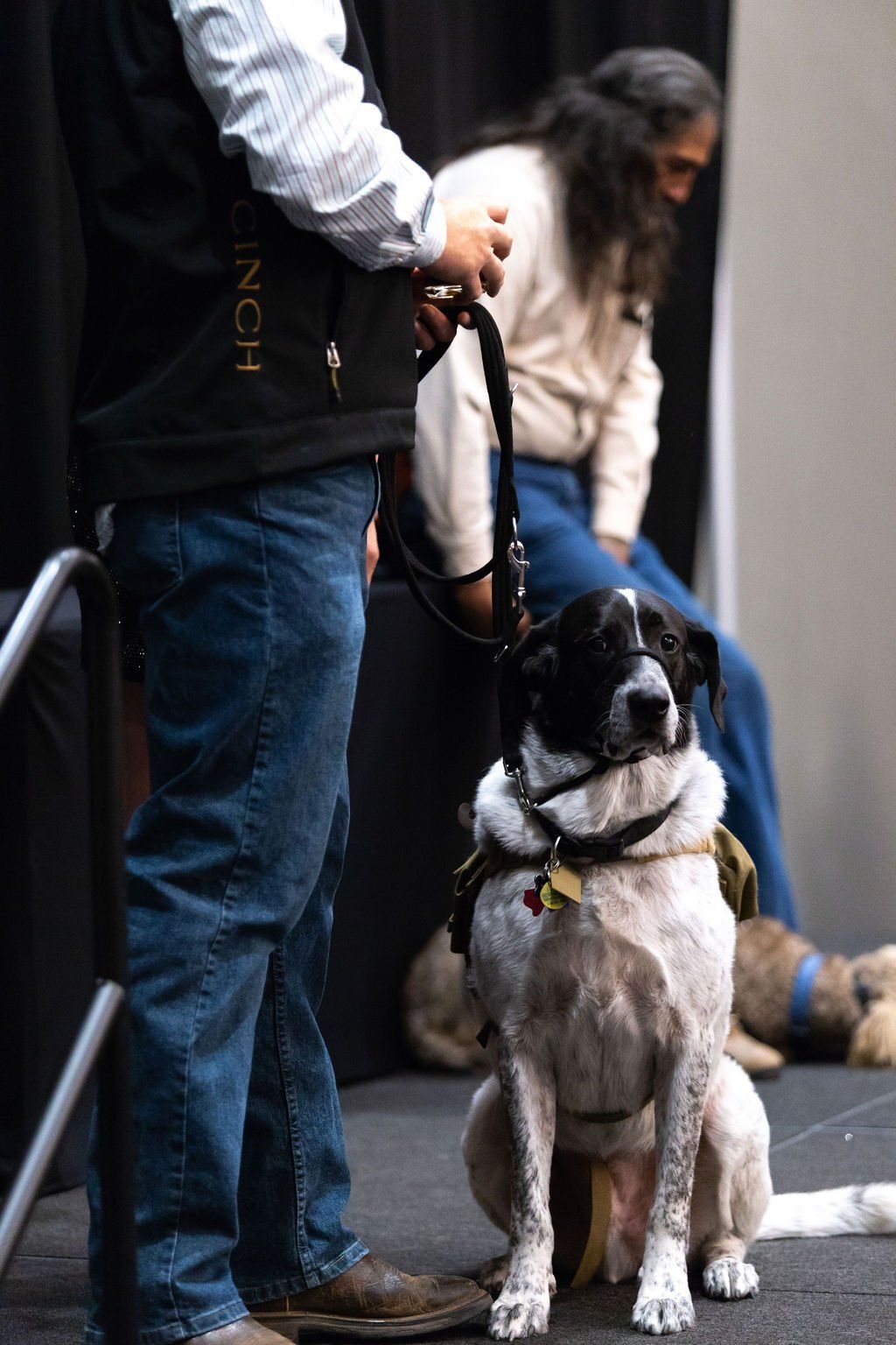 A person holds the leash of a black-and-white service dog sitting alert on a stage, with another person sitting behind.