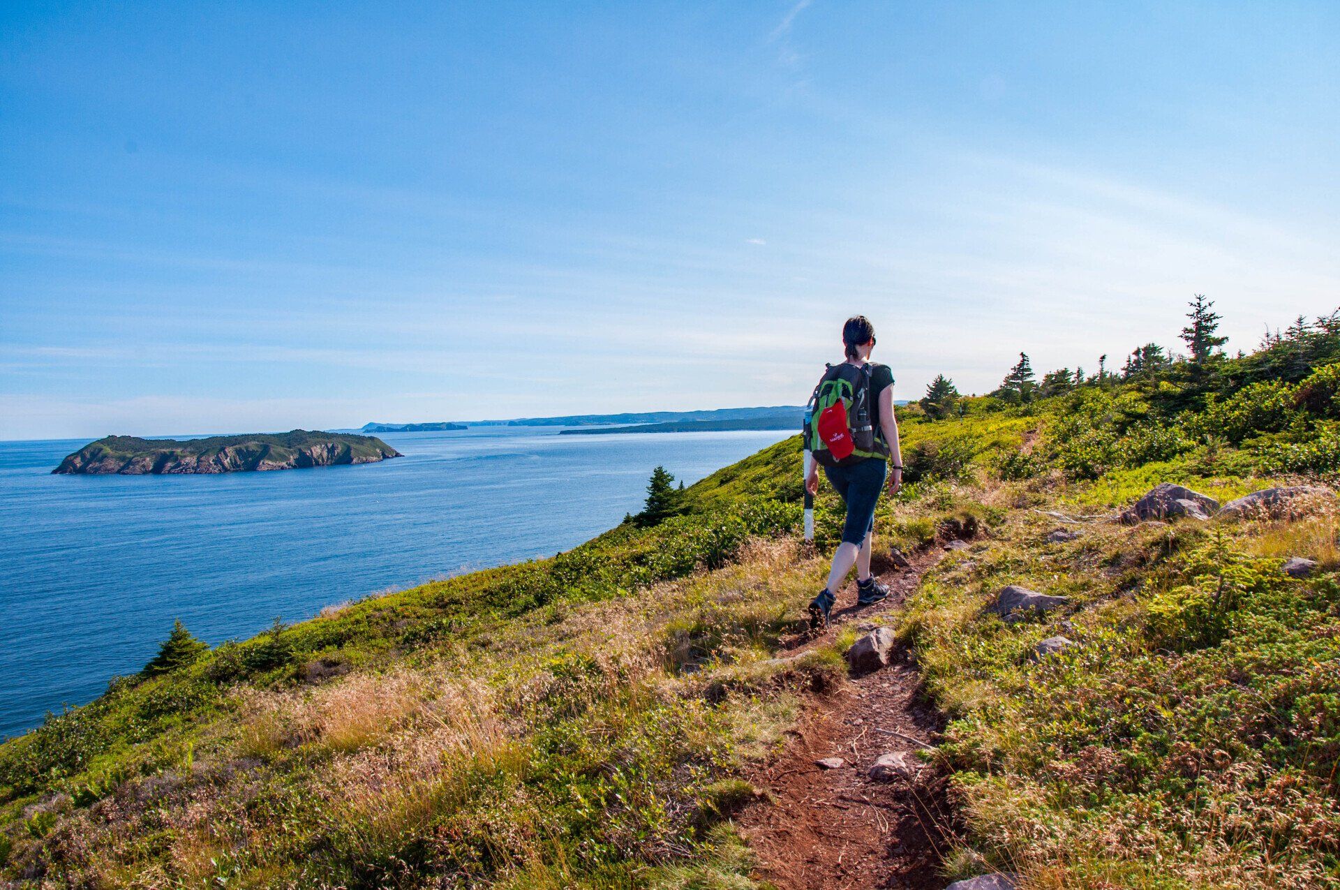 Une randonneuse marche sur le sentier situé au bord de l'Atlantique, avec vue sur l'île Witless