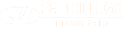 LOGO FELTRIN UGO