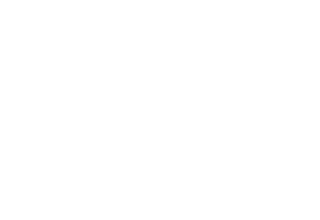 Angelini & Partners - logo