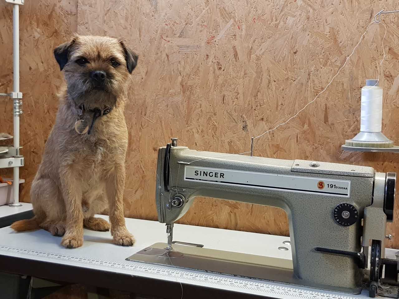 sewing machine