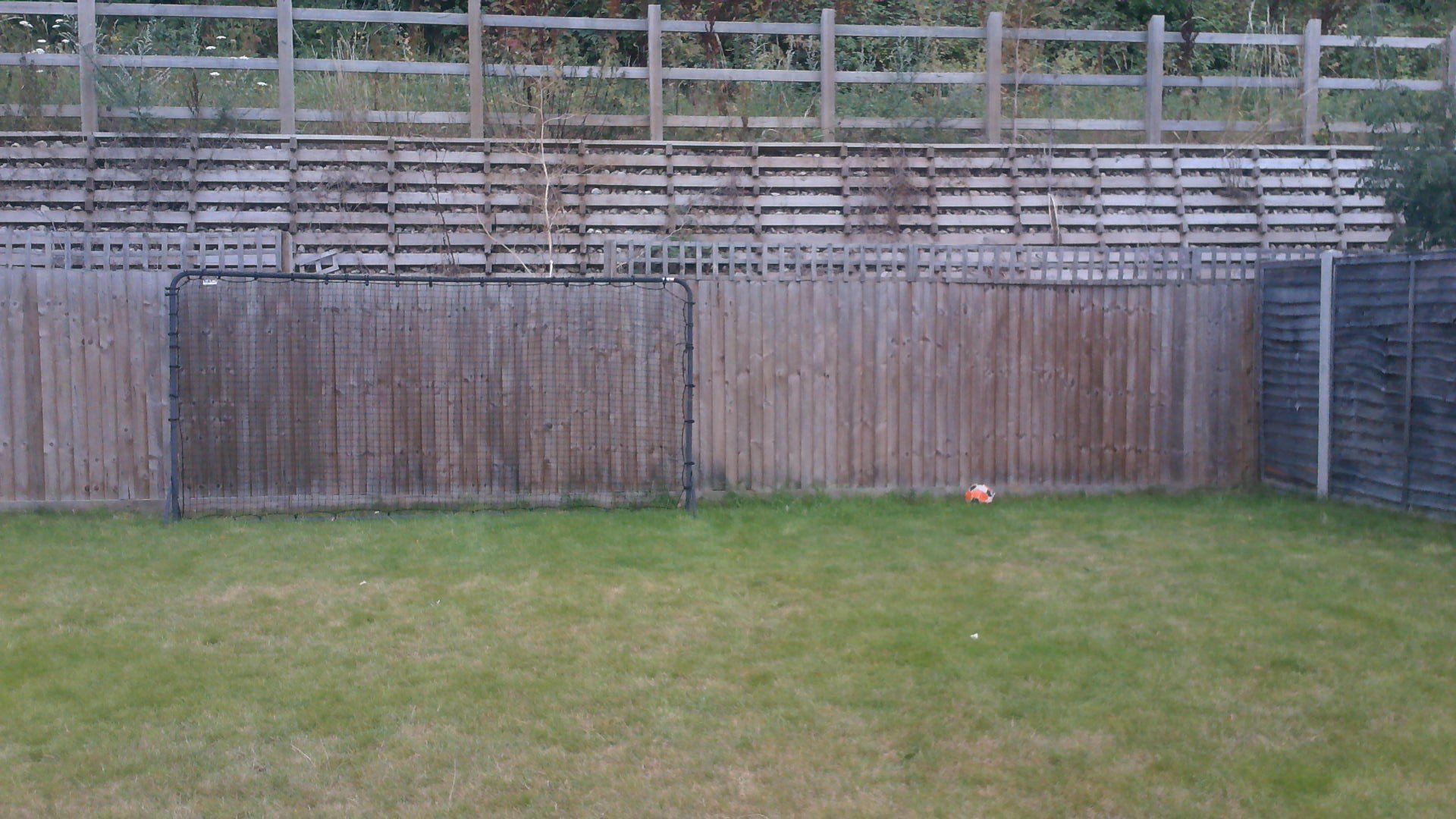 Backyard with wooden fences, grass, and a ball.