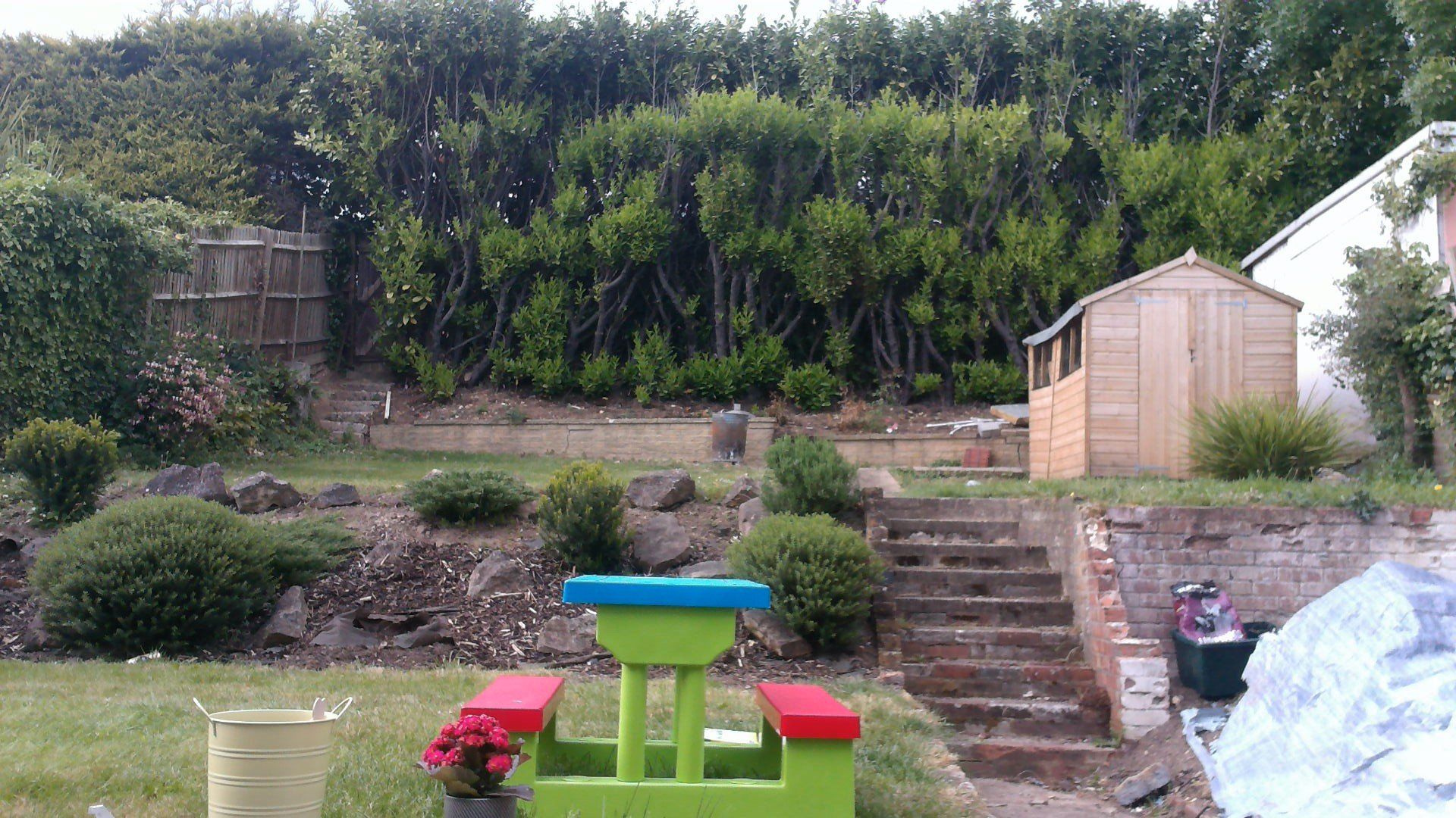 A backyard with a shed, stone steps, a picnic table, and a tiered garden with shrubs and tall hedges.