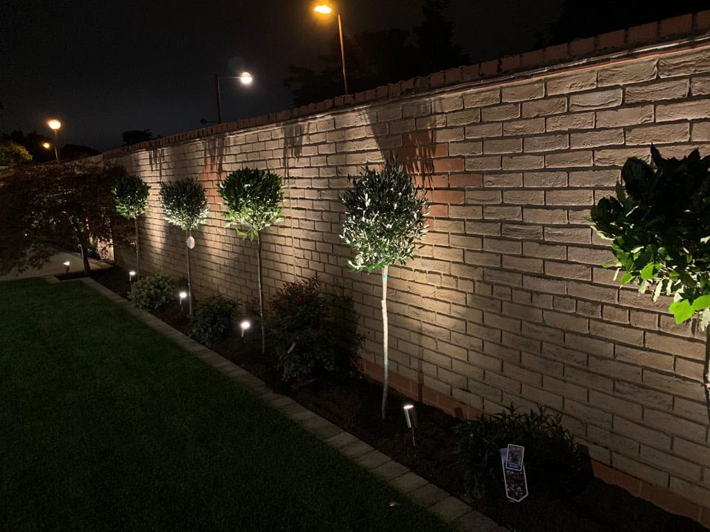 Brick wall with lit trees and ground lights at night.
