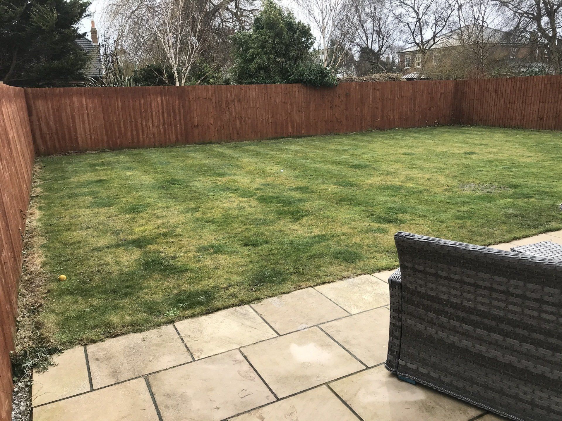 Backyard with a brown fence, green grass, and patio pavers. A gray wicker chair is in the foreground.
