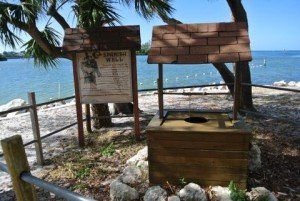 Holiday-pic-1-300x201