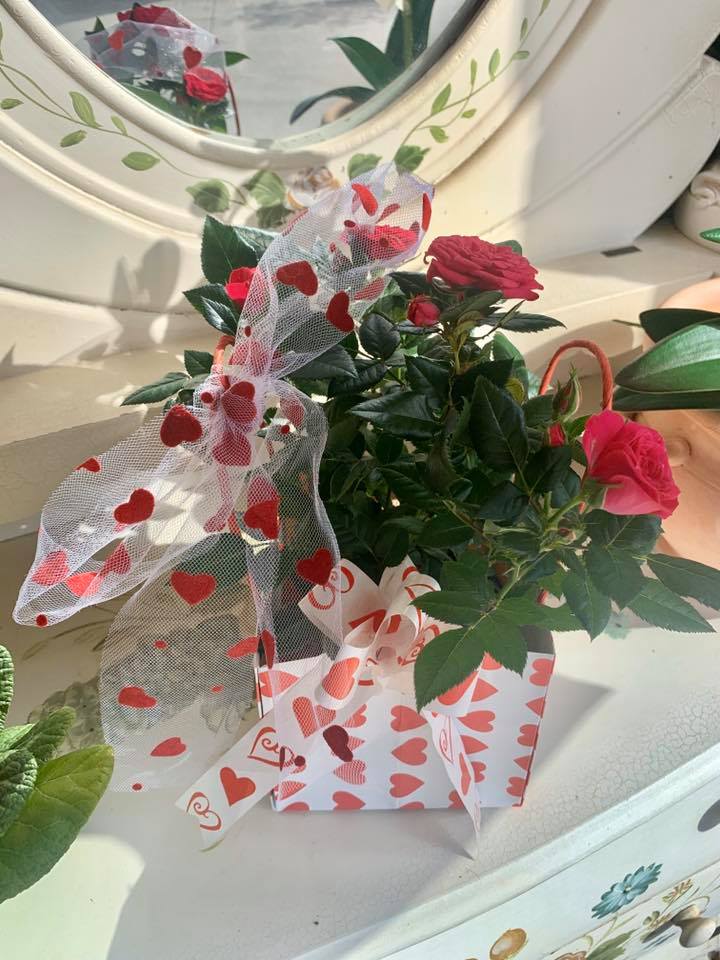 Fiori freschi