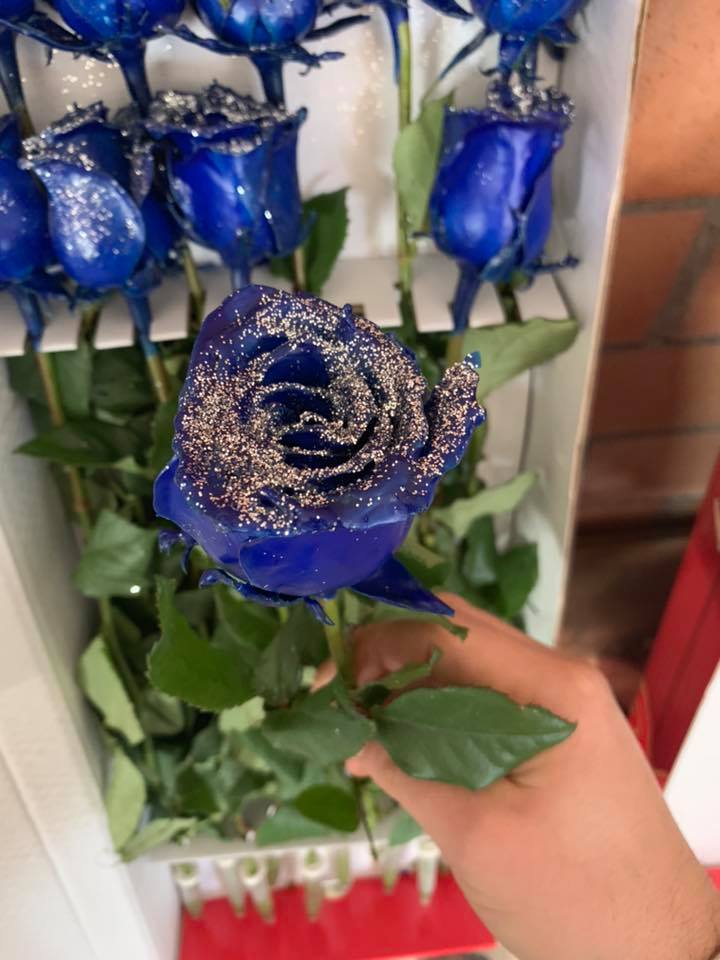 Fiori freschi