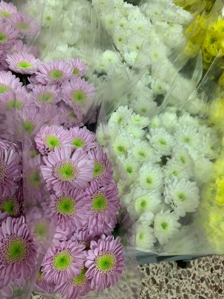 Fiori freschi