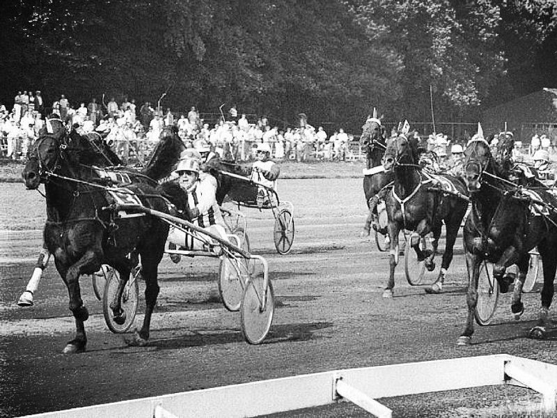 Derby Winner Uno Hazelaar Derby Winner Uno Hazleaar