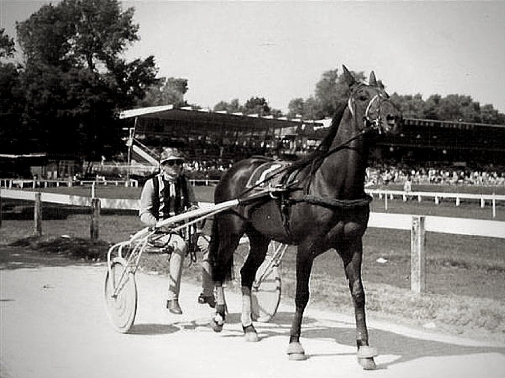 Derby Winner Uno Hazelaar Derby Winner Uno Hazelaar
