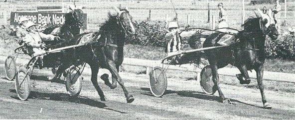 Derby Winner Nimrod R. Derby Winner Nimrod R.