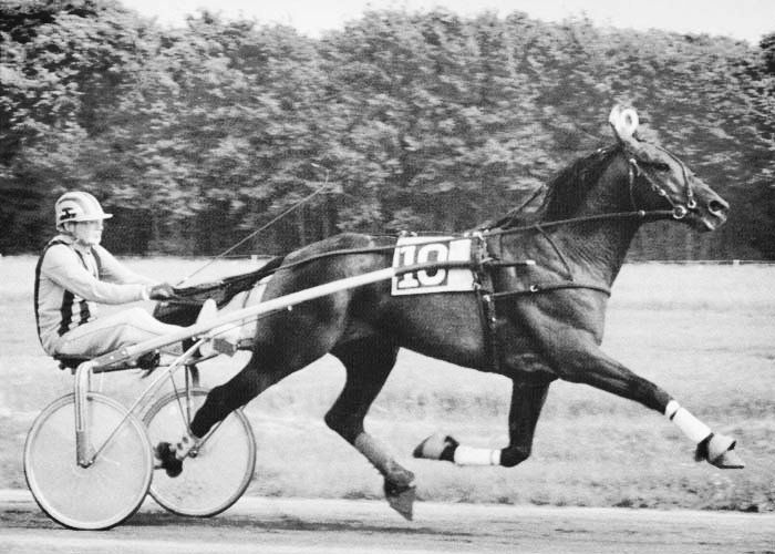 Derby Winner Uno Hazelaar and Wim Velis Deby Winner Uno Hazelaar and Wim Velis