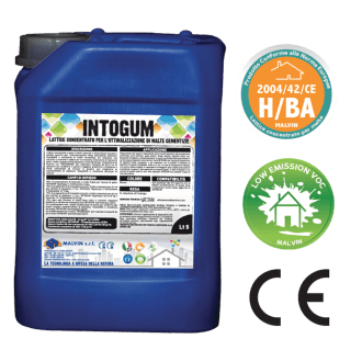 Intogum Intogum