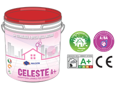 Celeste Celeste