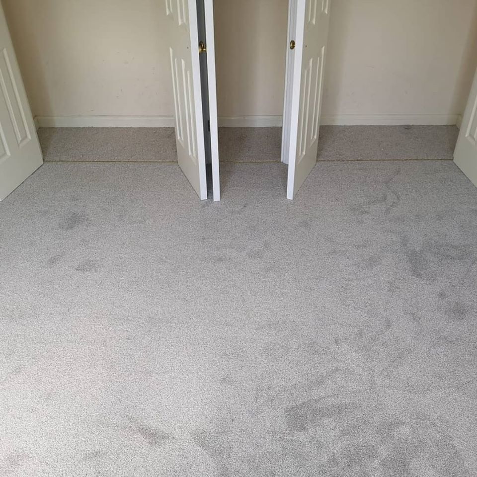 floor carpeting 5