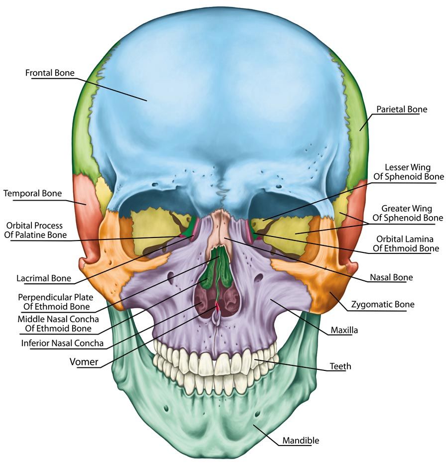 Click to enlarge CranioSacral Therapist in Kingston Ulster County NY 12401