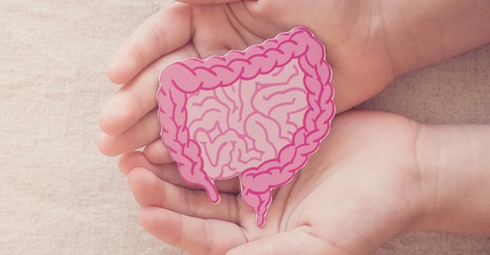 Leaky Gut Remedies - Dr. Louis Granirer Holistic Chiropractor.
