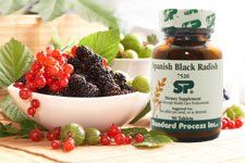 Standard Process Supplements by Dr. Louis Granirer Holistic Chiropractor in Kingston Ulster County NY 12401
